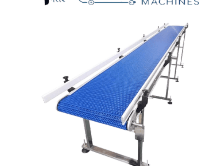 Modular Belt Conveyor by Spectra Pack Machines
